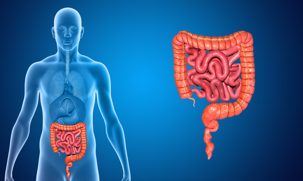 infecção intestinal